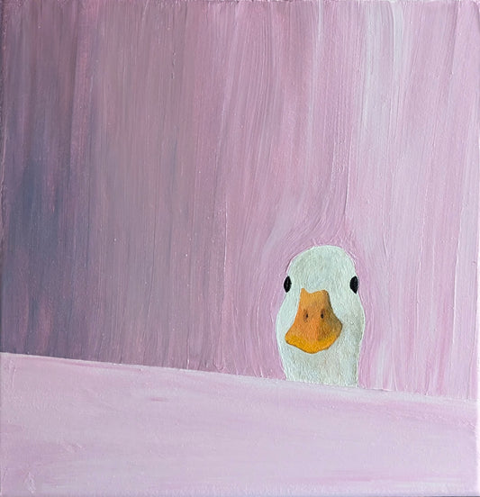 Peeking Duck
