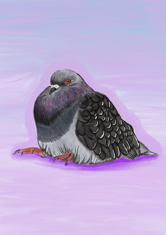 Pigeon A5 Print
